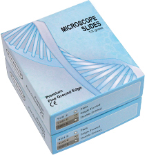 economy glass size 3x1 microscope slides