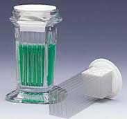 ted pella玻片染色缸21048