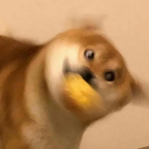 薄盛