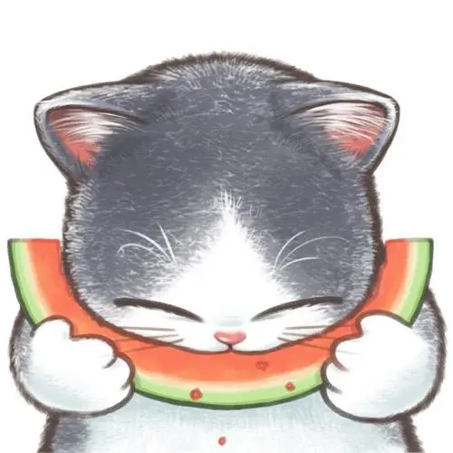 狂野丝袜