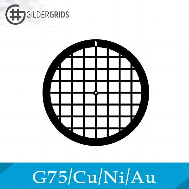 gilder grids镍网