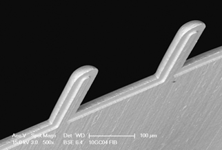 FIB Lift-out Grid micrograph