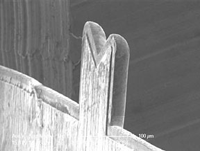 FIB Lift-out Grid micrograph