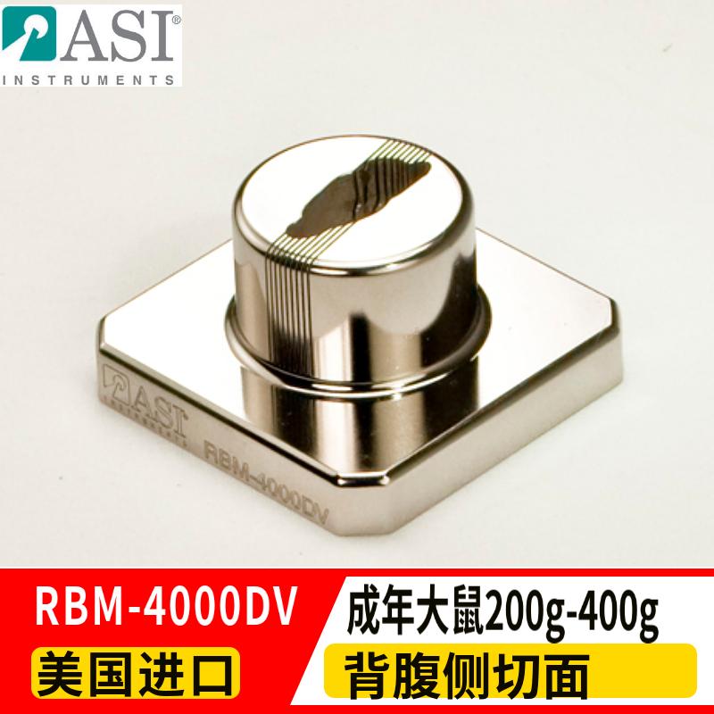 ASI成年大鼠背腹侧切面矩阵RBM-4000DV