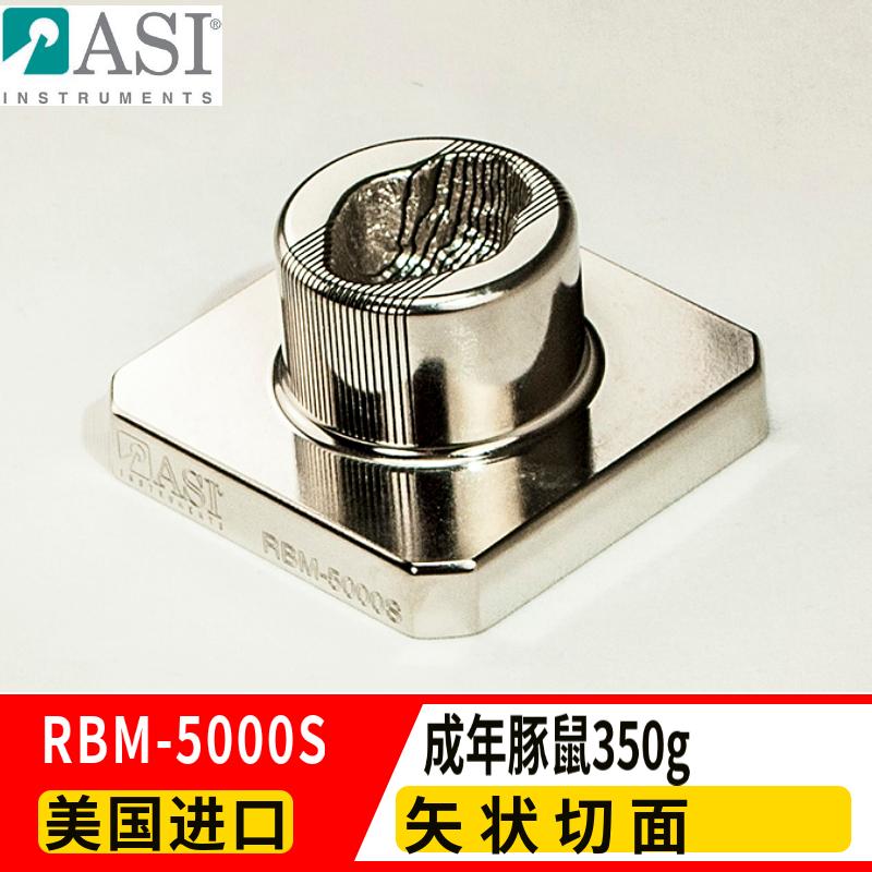 ASI成年豚鼠矢状切面矩阵RBM-5000S
