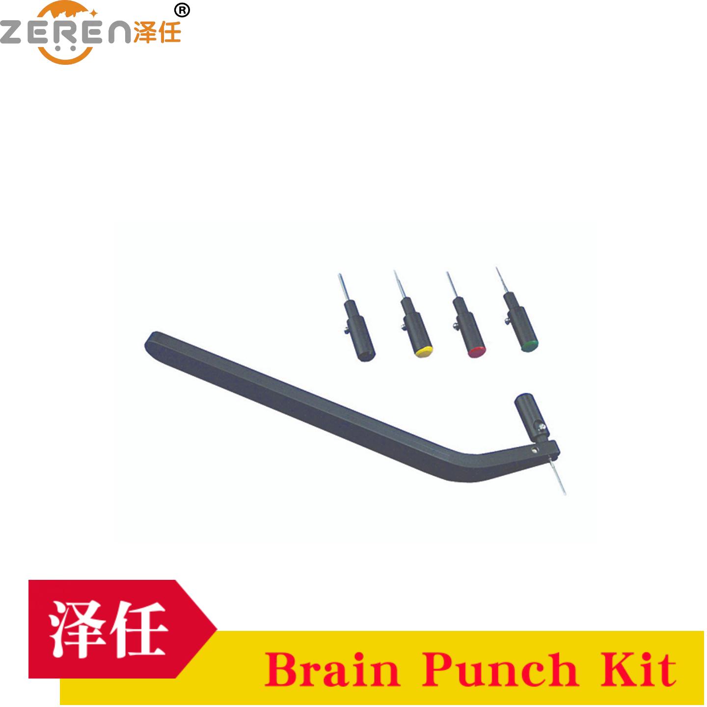 大脑切片取样器