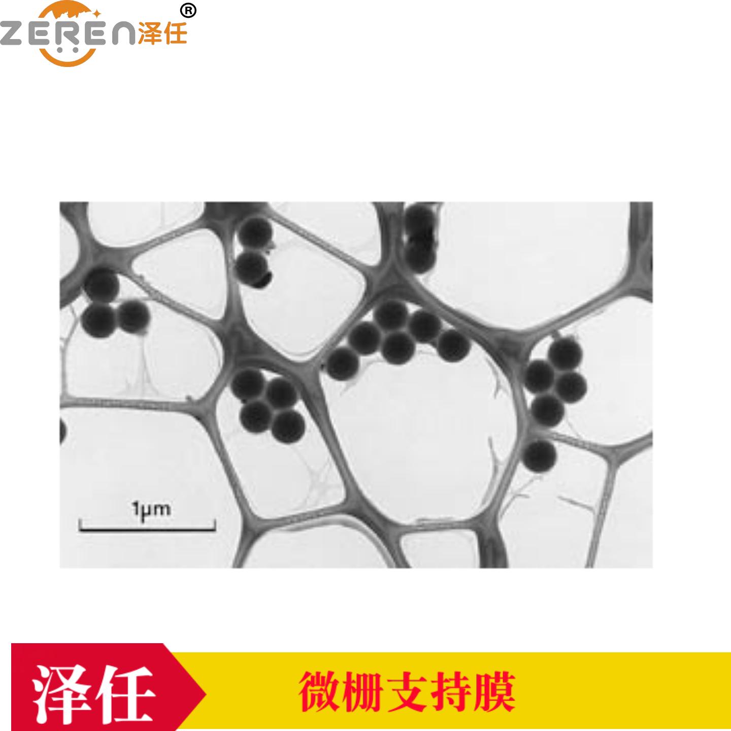 200目镍网微栅支持膜01882N