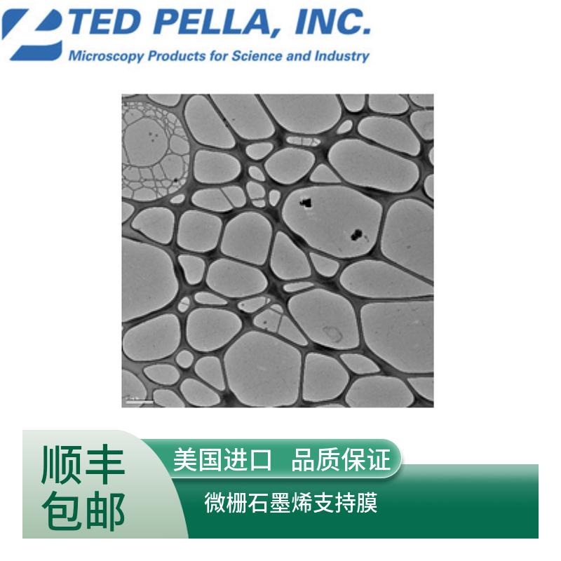 ted pella微栅石墨烯支持膜21720-25