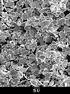 microscopy calibration standard